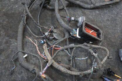 Engine Bay Forward Wire Harness PY83-14290-LA Aston Martin Dbx 707 20-23 *Note* - Image 11