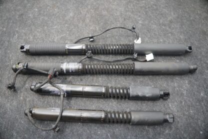 Set 4 Rear Right Door Lift Shock Strut Cylinder 1063440-00-C Tesla Model X 2016 - Image 2