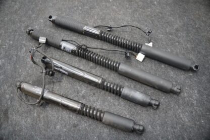 Set 4 Rear Right Door Lift Shock Strut Cylinder 1063440-00-C Tesla Model X 2016