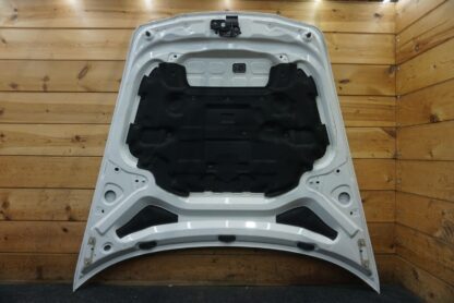 Front Hood Bonnet Panel Carrara White 97051101104grv Porsche Panamera 970 10-13 - Image 3