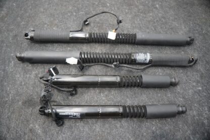 Set 4 Rear Left Door Lift Shock Strut Cylinder 1063440-01-C Tesla Model X 2016 - Image 2