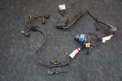 Rear Left Door Wire Harness OEM 3W5971657A Bentley Continental Flying Spur 06-12