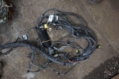 Front Main Body Wire Harness OEM 254817 Ferrari California 2008-14 *Note - Image 10