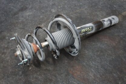 Front Left Shock Strut 99634304123 Porsche 911 Carrera Cabrio 996 2003-05 *Note*