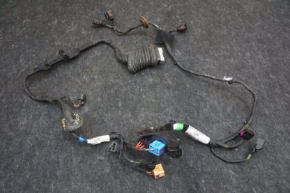 Rear Right Door Wire Harness 3W5971694A Bentley Continental Flying Spur 2006-12