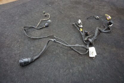 Front Right Passenger Door Wire Harness 281569 Ferrari California 2012-14 *Note - Image 2