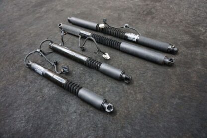 Set Rear Right Falcon Door Lift Strut Shock 1063440-00-C Tesla Model X 75D 16-20 - Image 2